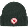 1960 Logo Hat
