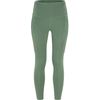 Abisko Tights W