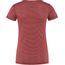 Abisko Cool T-shirt W - galerie #1