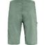 Abisko Hike Shorts M - galerie #1