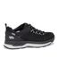 Blueridge Low ES - galerie #7