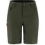 Abisko Trail Stretch Shorts W